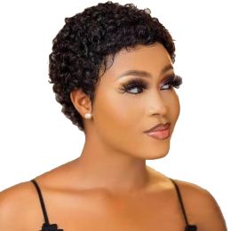 Explosive Head Female Short Curly Hair Temperament Microwave Whole Wig